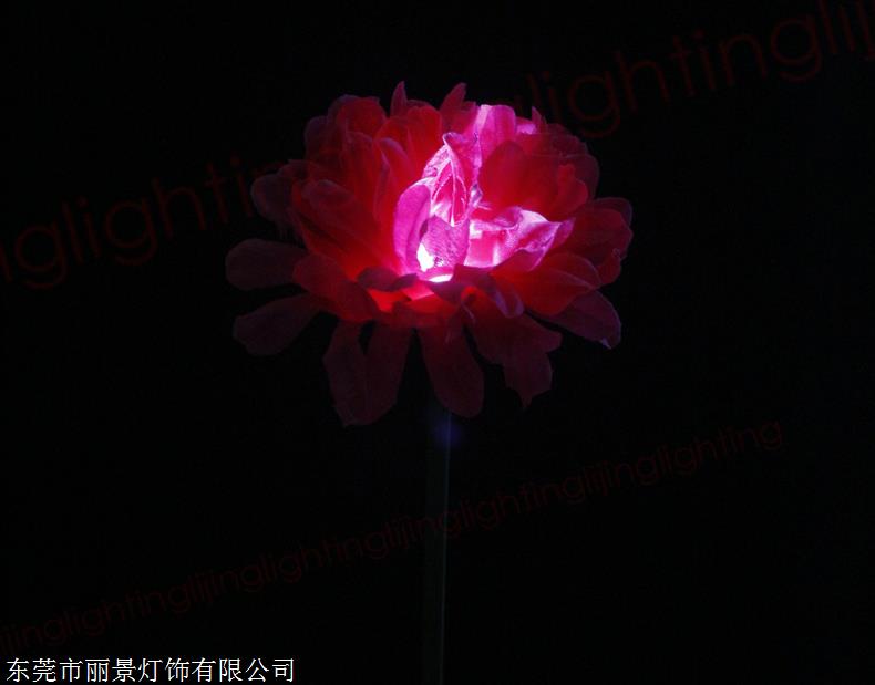新款創意菊花燈 LED廣場公園裝飾草坪燈 燈光節裝飾菊花燈